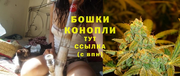 таблы Белокуриха